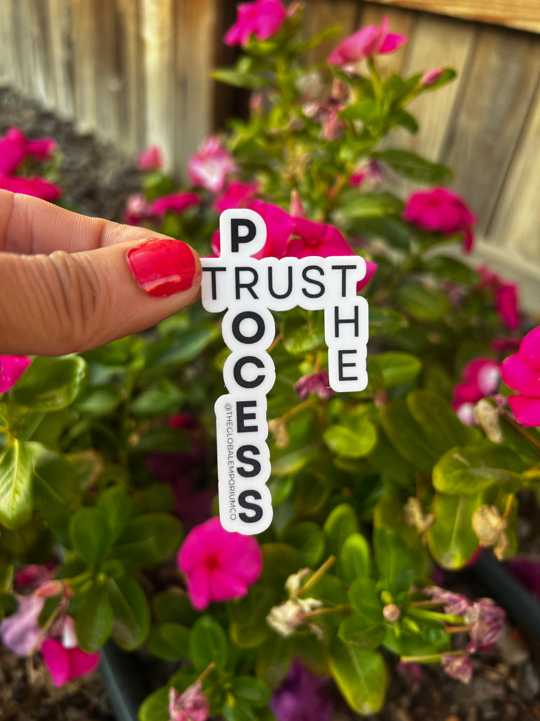 Trust the Process Crossword Vinyl Sticker